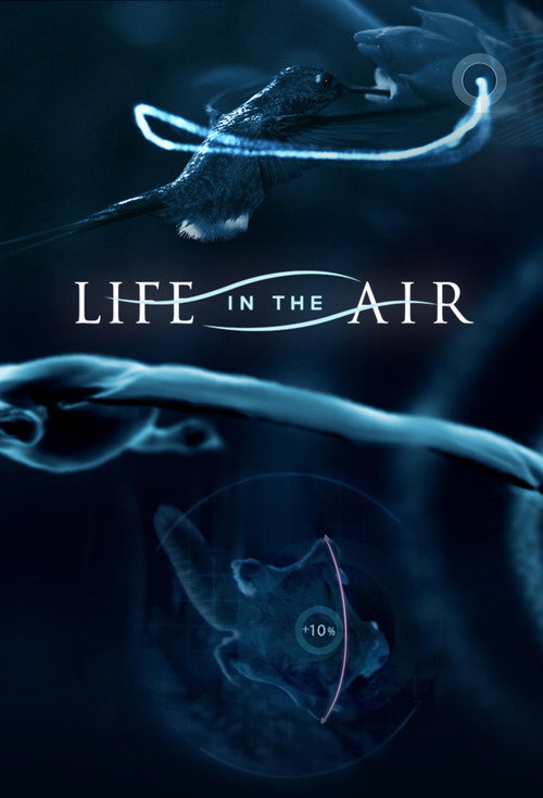 Life in the Air Poster