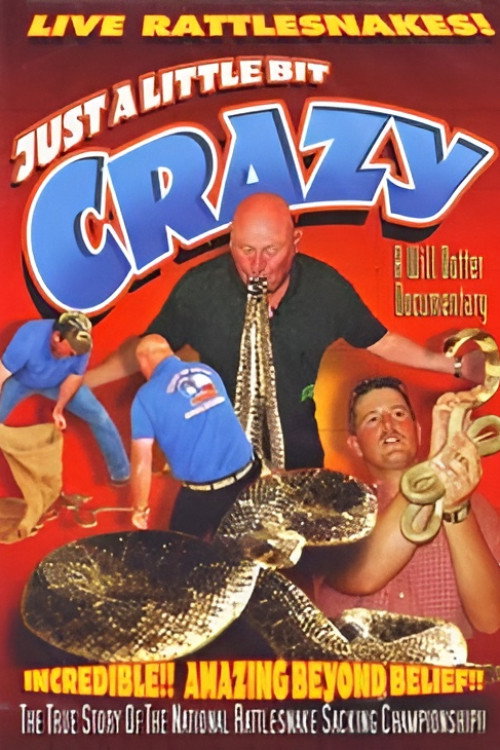 Just a Little Bit Crazy Poster