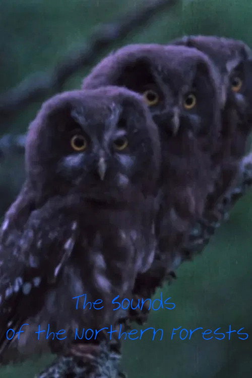 The Sounds of the Northern Forests Poster