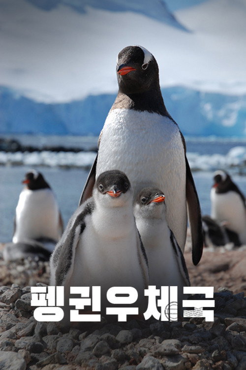 Penguin Post Office Poster
