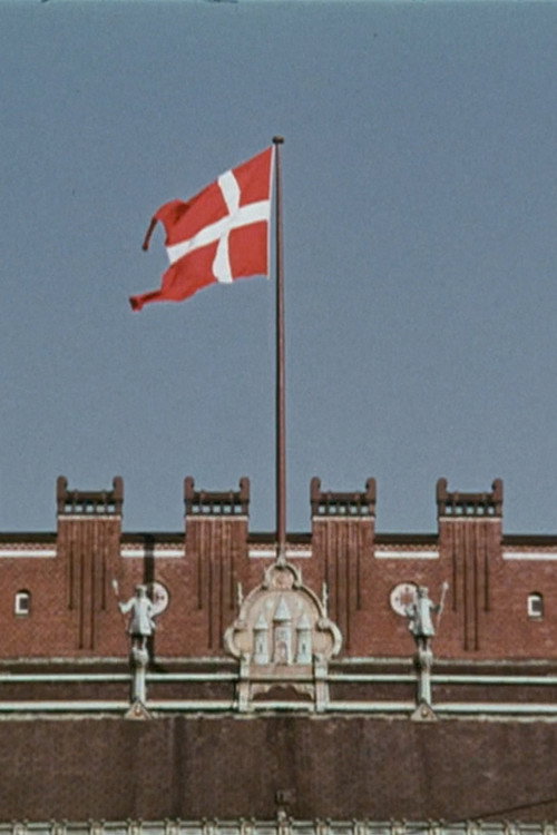 Red and White Poster