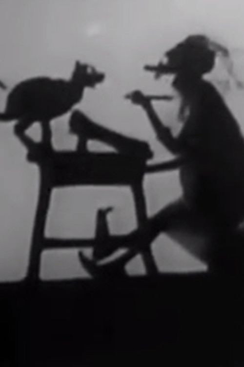 Noah Put The Cat Out Poster