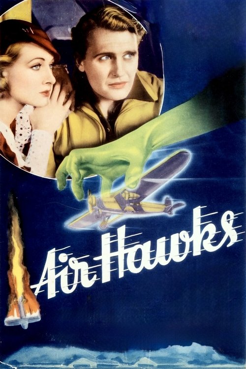 Air Hawks Poster