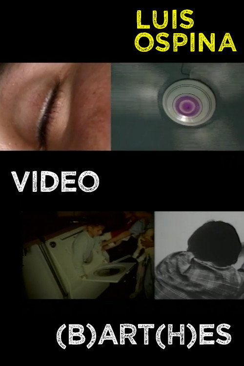 Video (B)art(h)es Poster