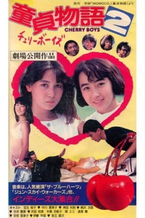 Virgin Boy's Story 2 Cherry Boys Poster