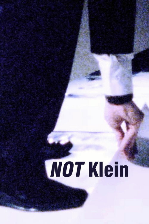 Mike Bidlo: NOT Klein Poster