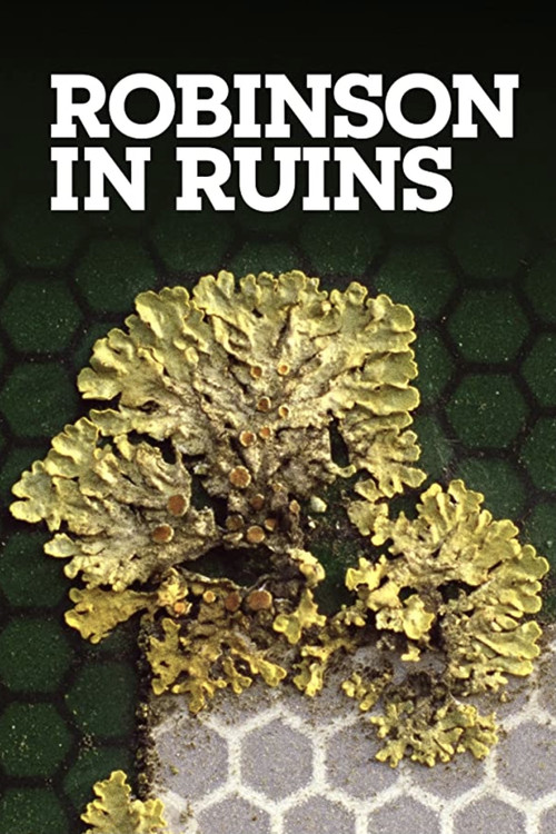 Robinson in Ruins Poster