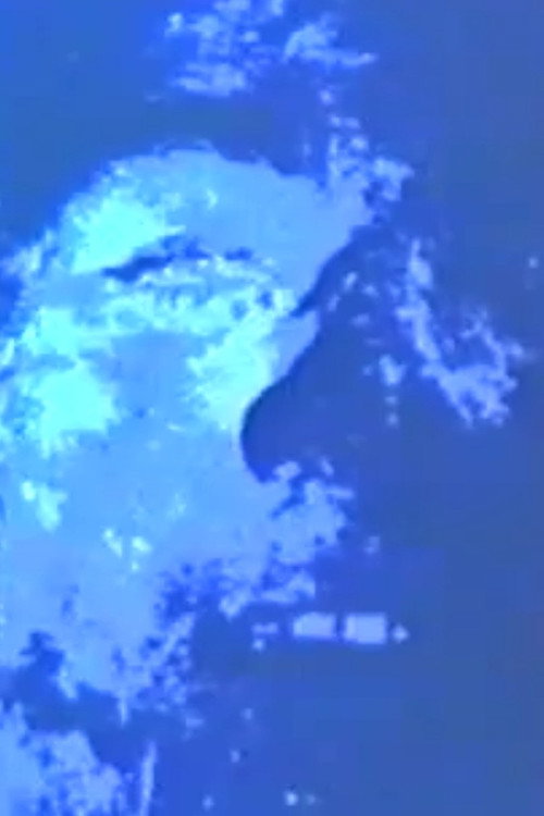 Bridal Chamber Poster