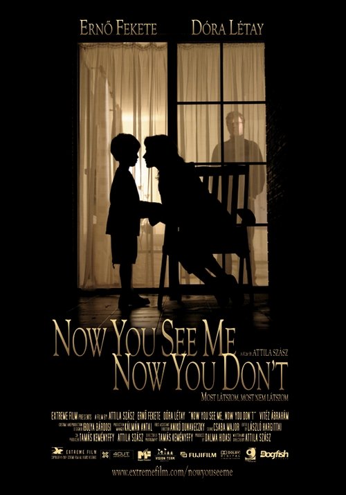 Now You See Me, Now You Don't Poster