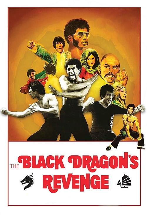 Black Dragon's Revenge Poster