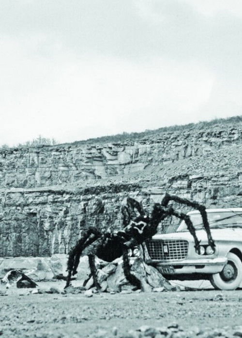 As Long as the Stratified Animal Lights Up Poster