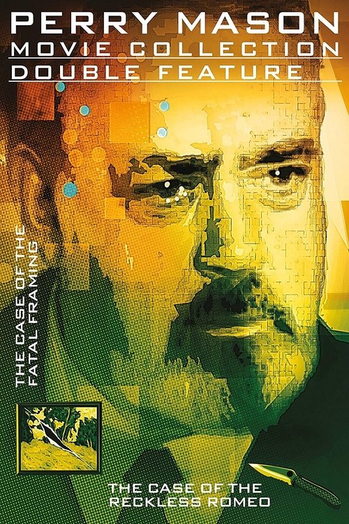 Perry Mason: The Case of the Fatal Framing Poster