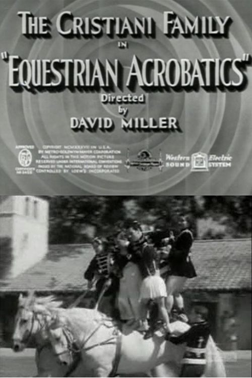 Equestrian Acrobats Poster