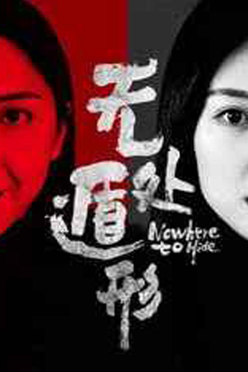 Nowhere To Hide Poster