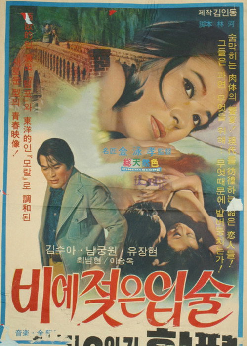 Wet Lips in the Rain Poster