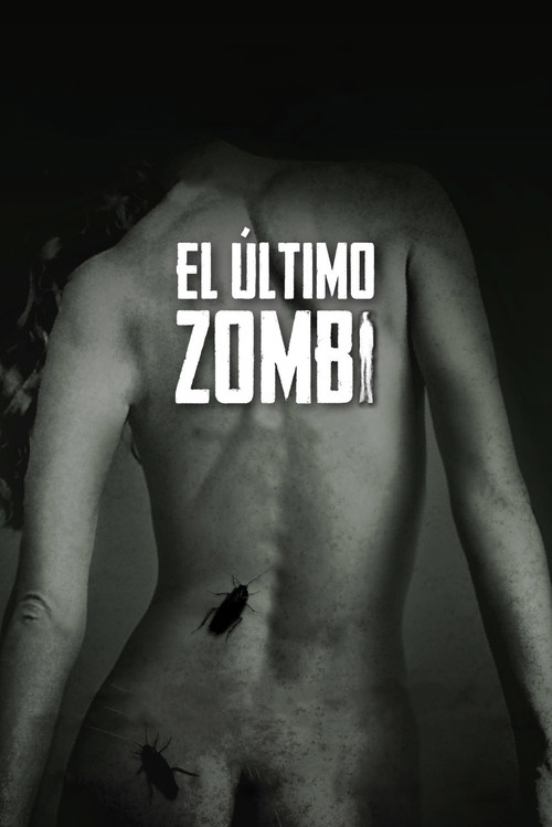 The Last Zombie Poster