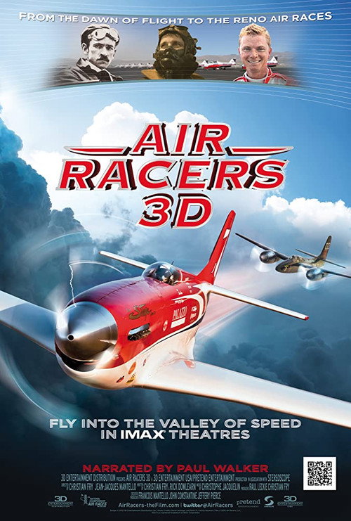 Air Racers 3D Poster