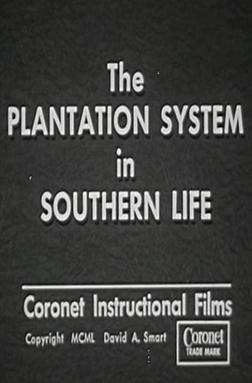 The Plantation System in Southern Life Poster