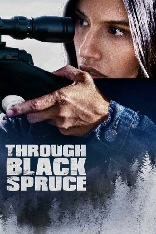 Through Black Spruce Poster