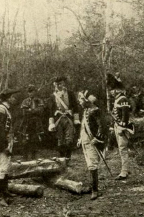 The Swamp Fox Poster