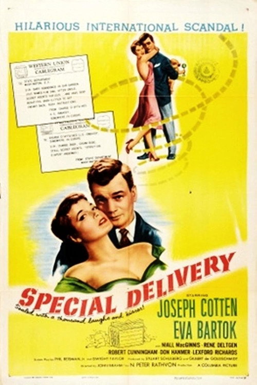 Special Delivery Poster