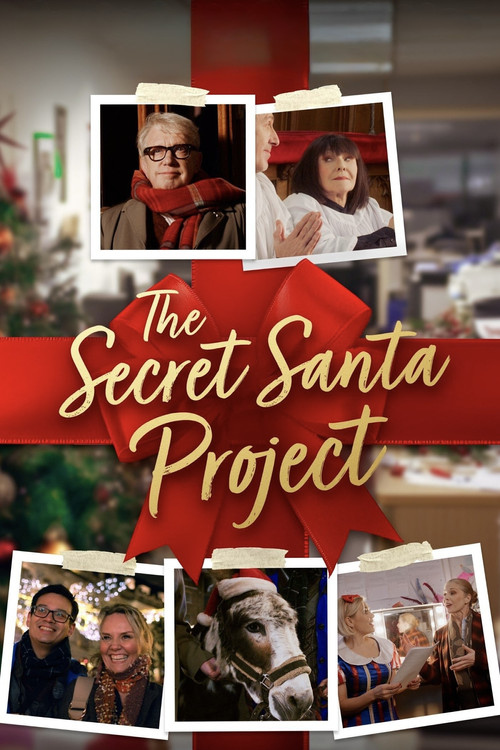 The Secret Santa Project Poster