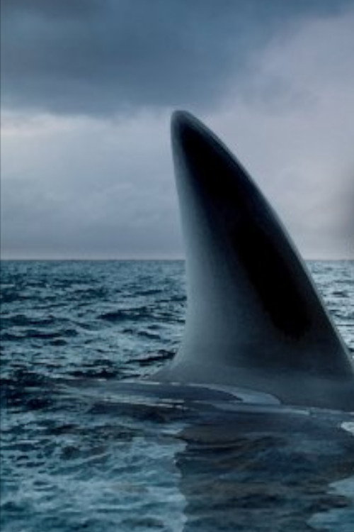 Ocean of Fear Poster