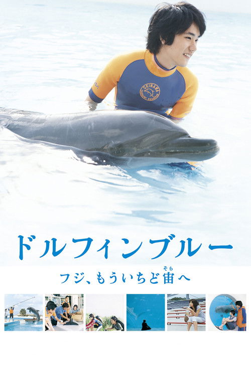 Dolphin Blue: Soar Again, Fuji Poster
