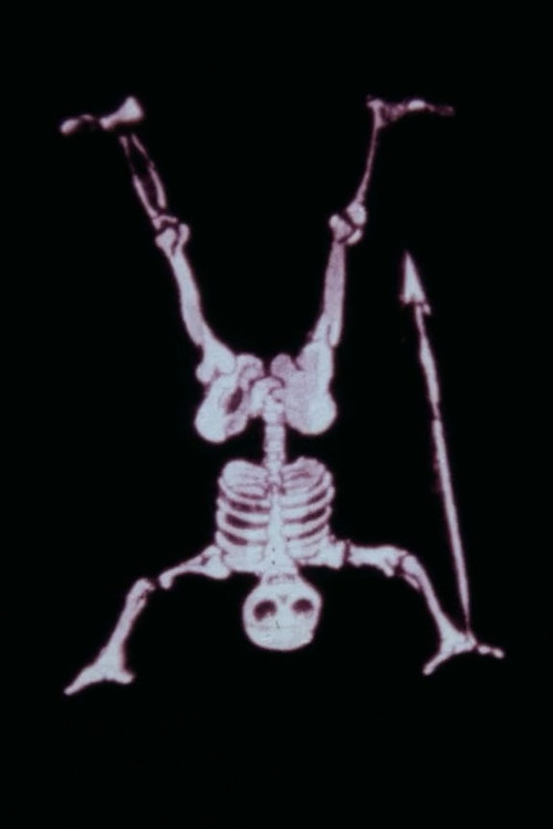 Magic Lanterns Poster