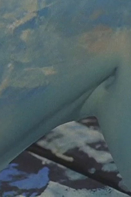 Swan’s Island Poster