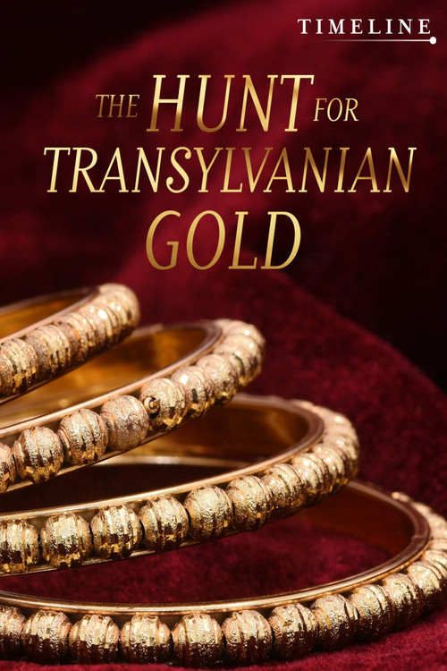 The Hunt for Transylvanian Gold Poster