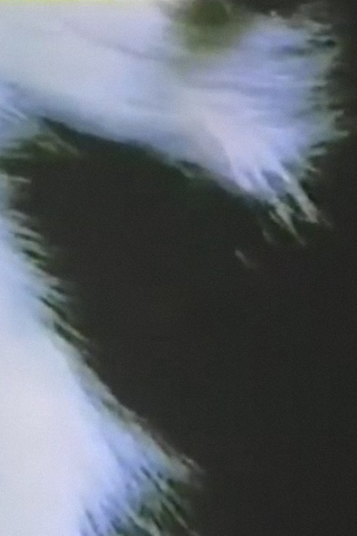 Summer Solstice Poster