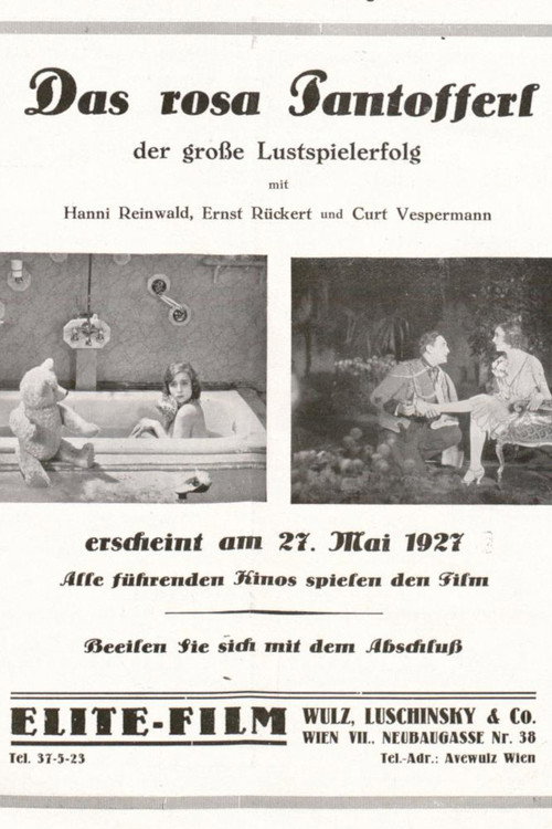 Das rosa Pantöffelchen Poster