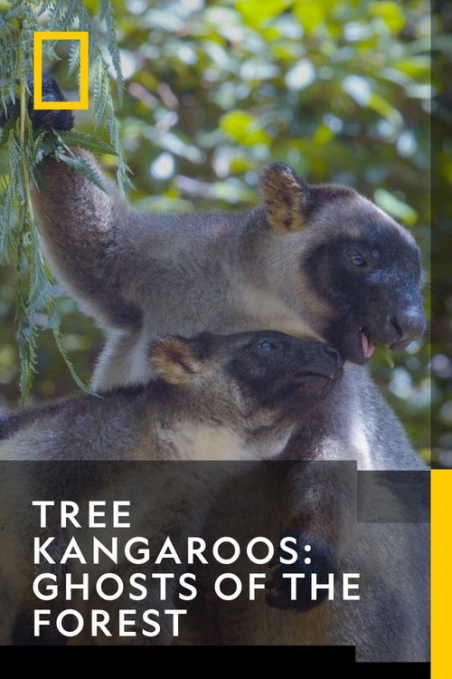 Tree Kangaroos: Ghosts of the Forest Poster