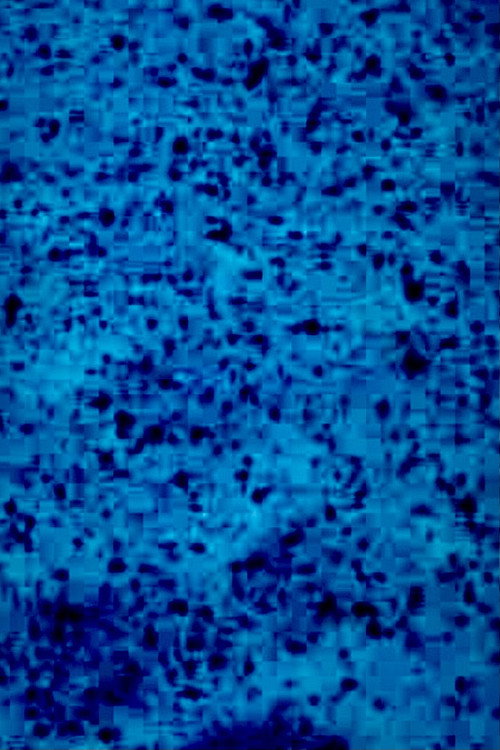 BLAUFILM Poster