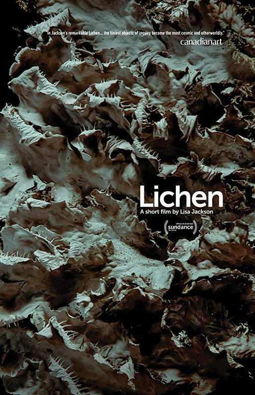Lichen Poster