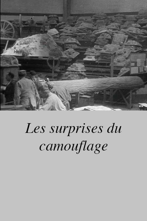 Les surprises du camouflage Poster