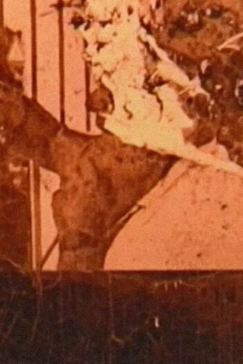 Man Spritsch Deutsch Poster