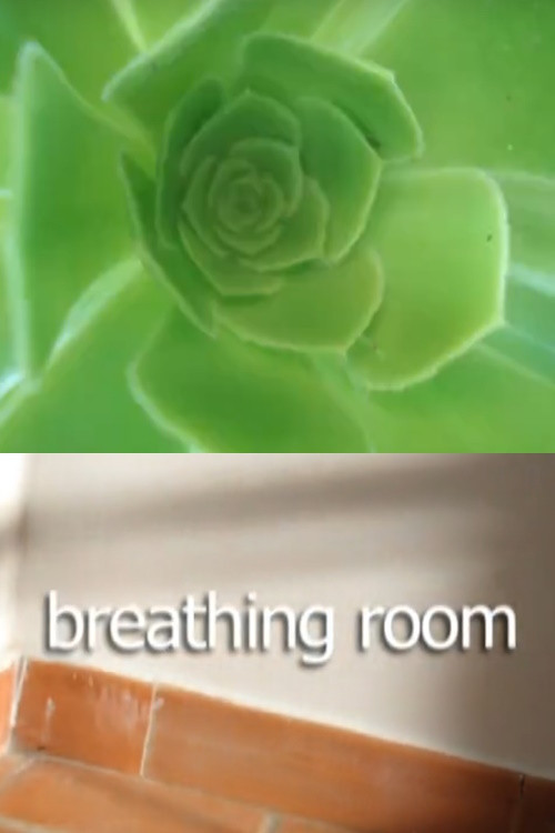 Breathing Room Poster