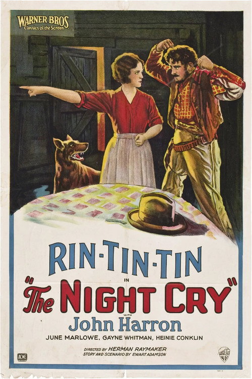 The Night Cry Poster