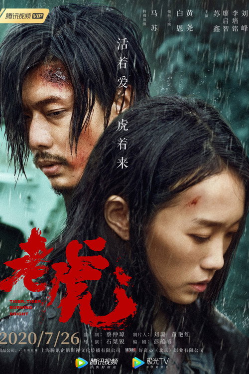 The Beautiful Kokonor Lake Poster