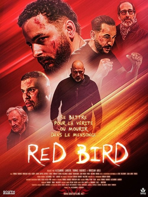 Red Bird Poster