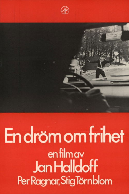 A Dream About Freedom Poster