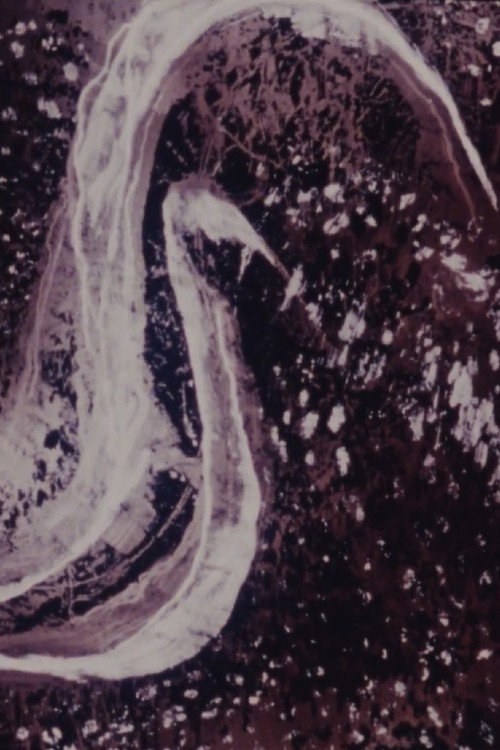 Interior Garden II Poster