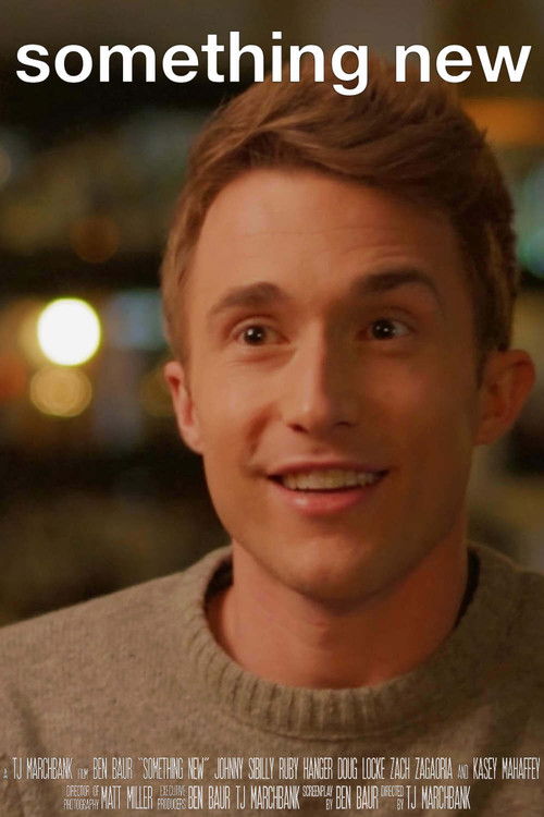 Something New Poster