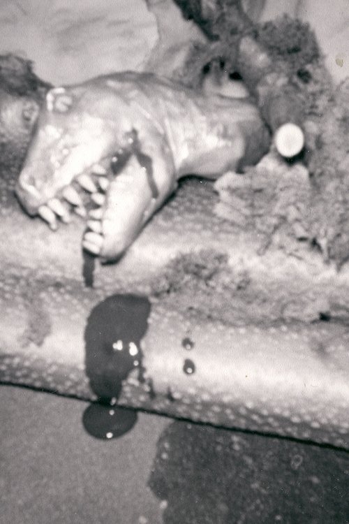 Tor, King of Beasts Poster