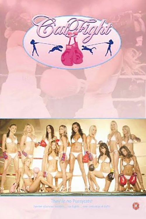 CatFight Poster