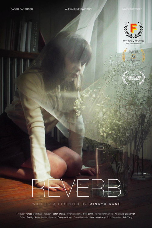 Reverb Poster