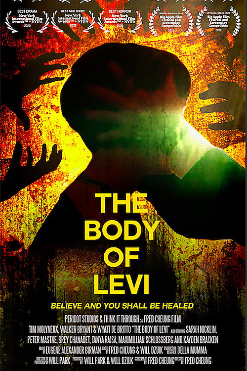 The Body of Levi Poster