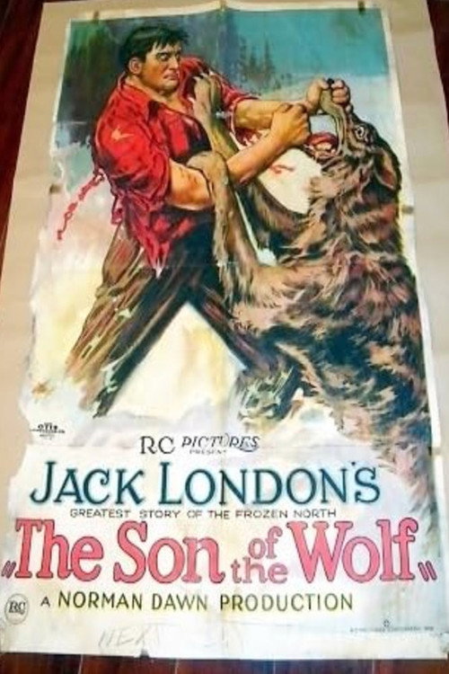 The Son of the Wolf Poster